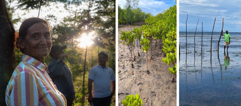 Klimatkompenseringsprojekt